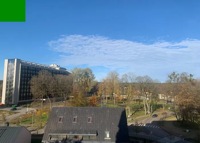 Luxury Oasis In The Heart Of The Apartment Druskininkai